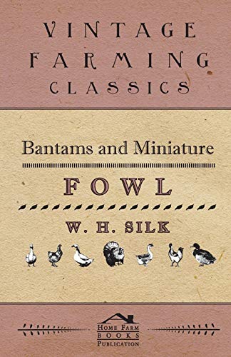 Bantams and Miniature Fol [Paperback]