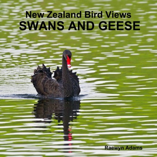 Ne Zealand Bird Vies  Sans And Geese [Paperback]