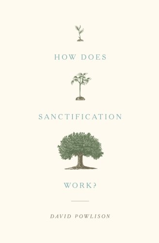 How Does Sanctification Work? [Paperback]