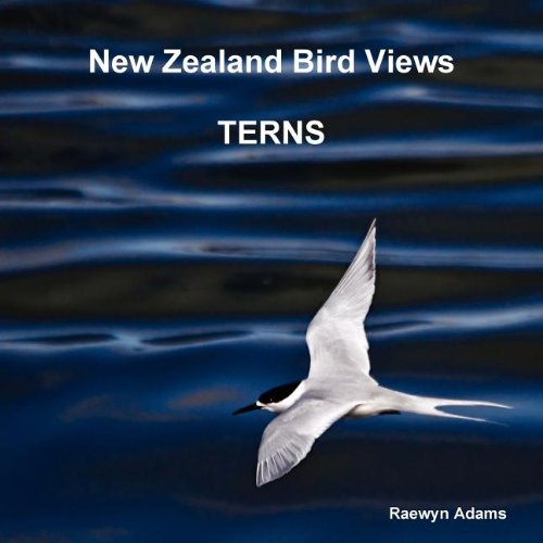 Ne Zealand Bird Vies Terns [Paperback]