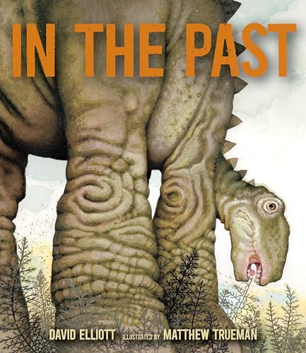 In the Past: From Trilobites to Dinosaurs to Mammoths in More Than 500 Million Y [Hardcover]