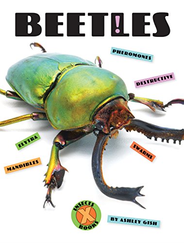 Beetles [Paperback]