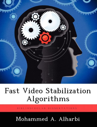 Fast Video Stabilization Algorithms [Paperback]