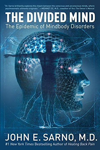 The Divided Mind: The Epidemic Of Mindbody Disorders [Paperback]