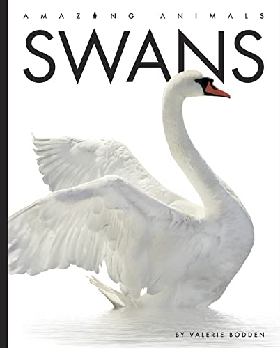 Swans [Paperback]