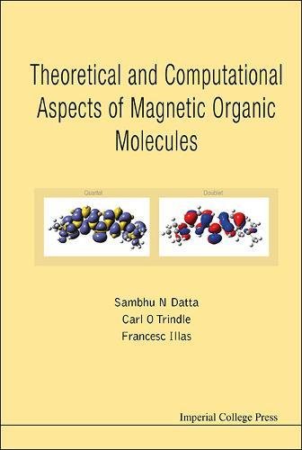 Theoretical And Computational Aspects Of Magnetic Organic Molecules [Hardcover]