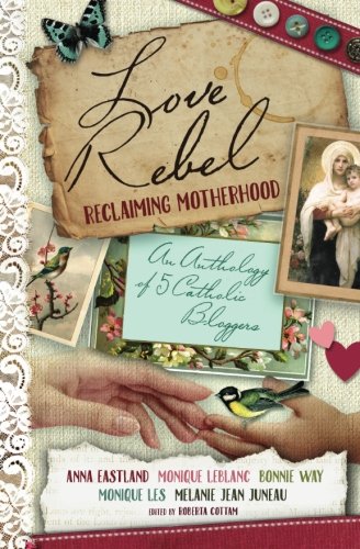 Love Rebel Reclaiming Motherhood [Paperback]