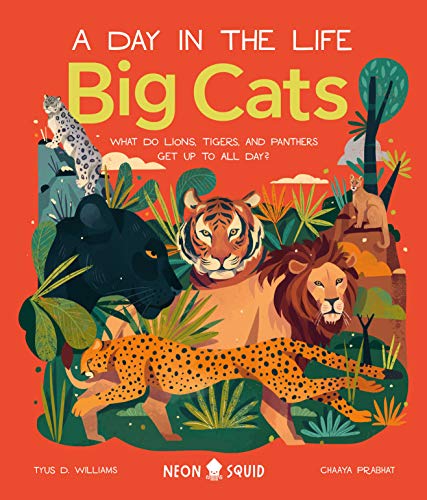 Big Cats (A Day in the Life): What Do Lions, Tigers, and Panthers Get up to All  [Hardcover]