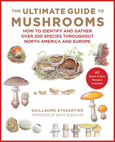 The Ultimate Guide to Mushrooms: How to Ident