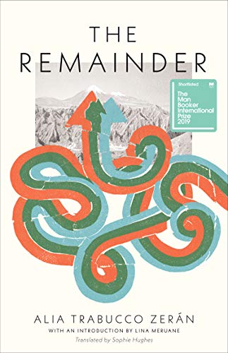 The Remainder [Paperback]