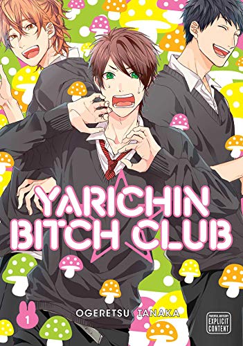 Yarichin Bitch Club, Vol. 1 [Paperback]