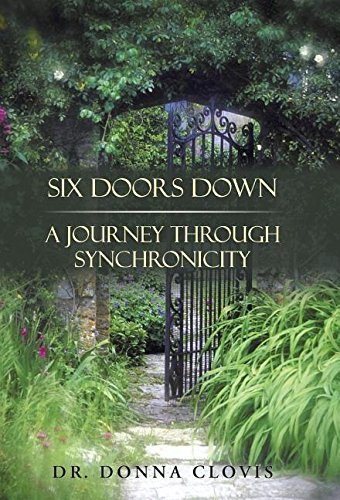 Six Doors Don A Journey Through Synchronicity [Hardcover]