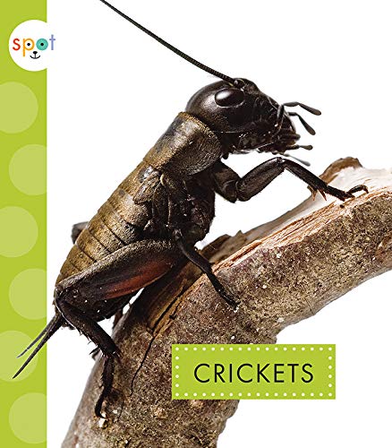 Crickets [Paperback]