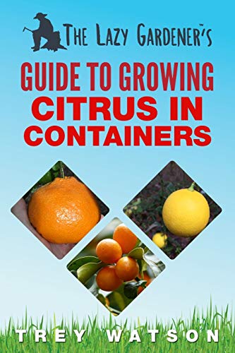 Lazy Gardener's Guide to Groing Citrus in Containers [Paperback]