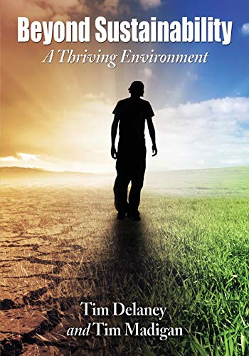 Beyond Sustainability A Thriving Environment [Paperback]