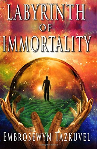 Labyrinth Of Immortality (secret Earth Series) (volume 1) [Paperback]