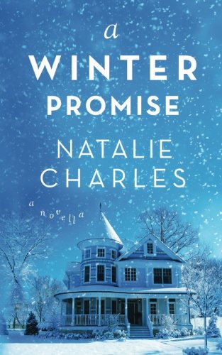 A Winter Promise A Novella (archer Cove) (volume 3) [Paperback]