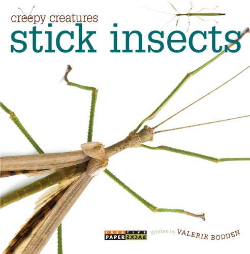 Creepy Creatures: Stick Insects [Paperback]