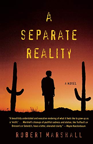 A Separate Reality A Novel [Paperback]