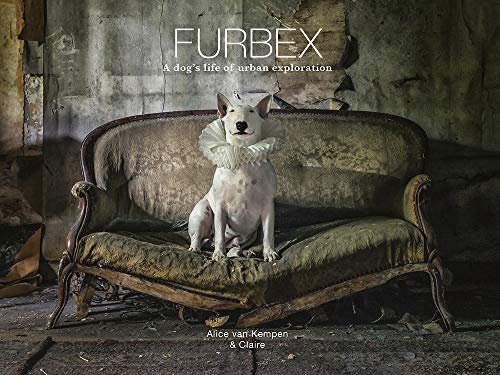 Furbex: A Dogs Life of Urban Exploration [Hardcover]