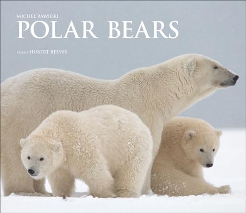 Polar Bears: A Life Under Threat [Hardcover]