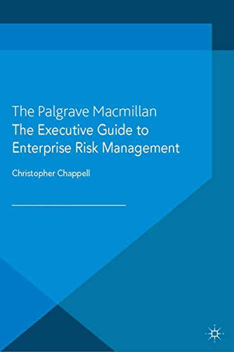 The Executive Guide to Enterprise Risk Management: Linking Strategy, Risk and Va [Paperback]