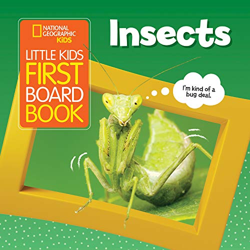 Little Kids First Board Book: Insects [Board