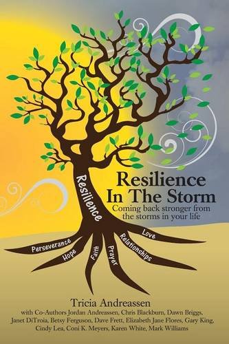 Resilience In The Storm Coming Back Stronger From The Storms In Your Life [Paperback]