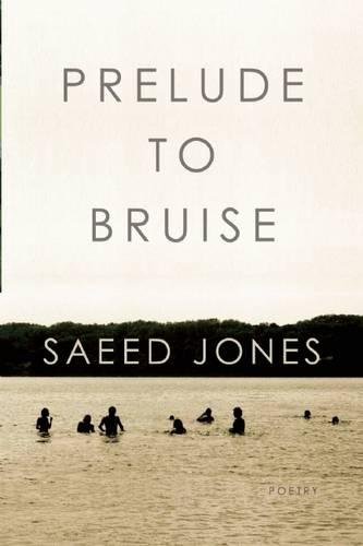 Prelude to Bruise [Paperback]