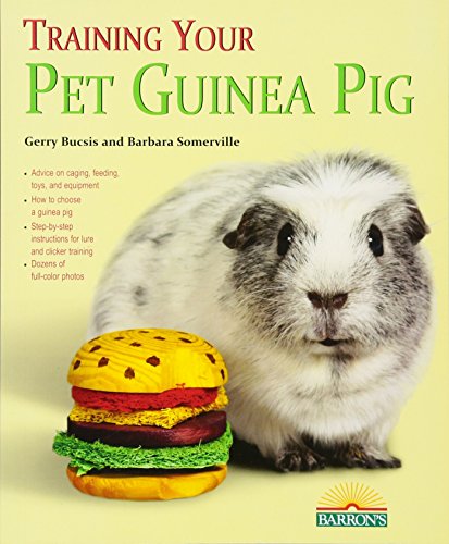 Training Your Guinea Pig [Paperback]