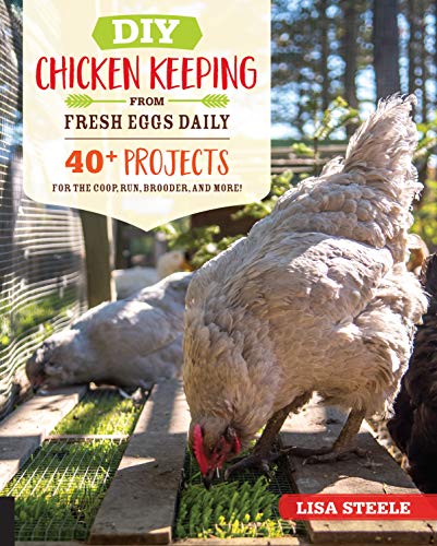 DIY Chicken Keeping from Fresh Eggs Daily: 40