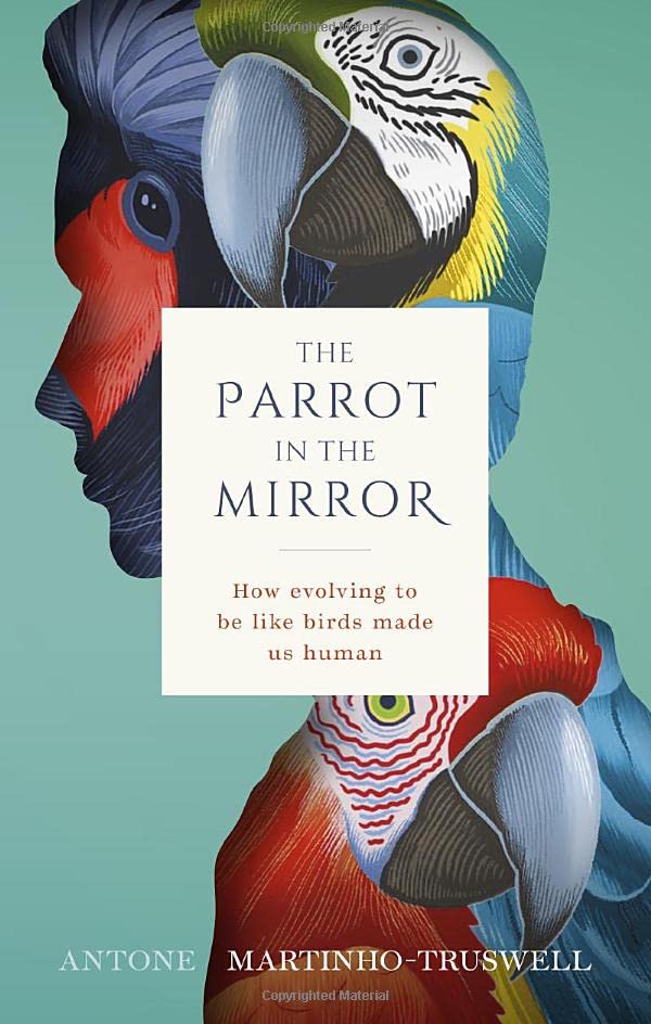 The Parrot in the Mirror: How evolving to be like birds makes us human [Hardcover]