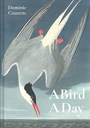 Bird A Day [Hardcover]