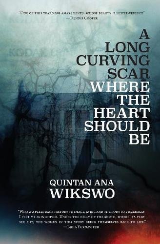 A Long Curving Scar Where The Heart Should Be [Paperback]