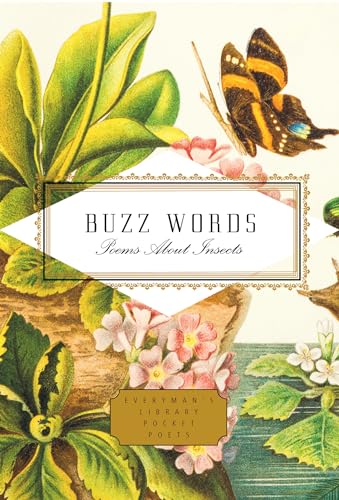 Buzz Words: Poems About Insects [Hardcover]