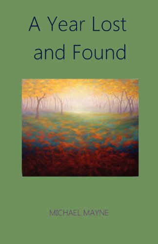 A Year Lost And Found [Paperback]