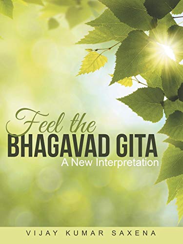 Feel The Bhagavad Gita A Ne Interpretation [Paperback]