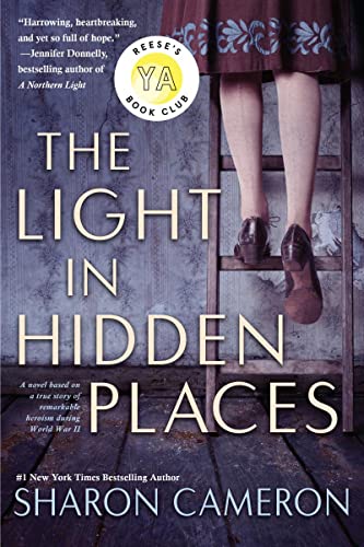 The Light in Hidden Places [Paperback]