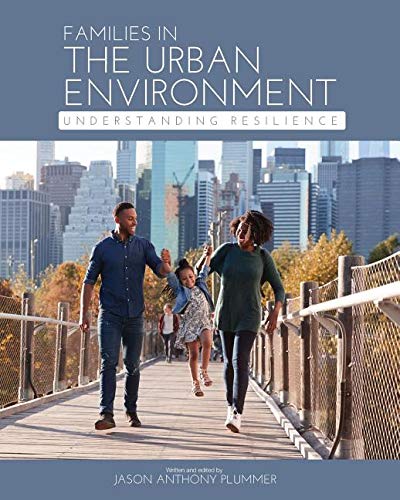 Families in the Urban Environment Understanding Resilience (First Edition) [Paperback]