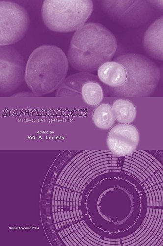 Staphylococcus Molecular Genetics [Hardcover]