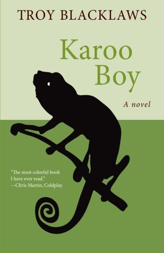 Karoo Boy A Novel [Paperback]