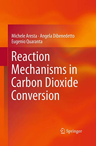 Reaction Mechanisms in Carbon Dioxide Conversion [Paperback]