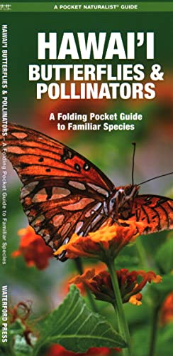 Hawai'i Butterflies and Pollinators: A Folding Pocket Guide to Familiar Species [Pamphlet]