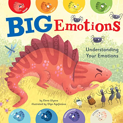 Big Emotions [Board book]