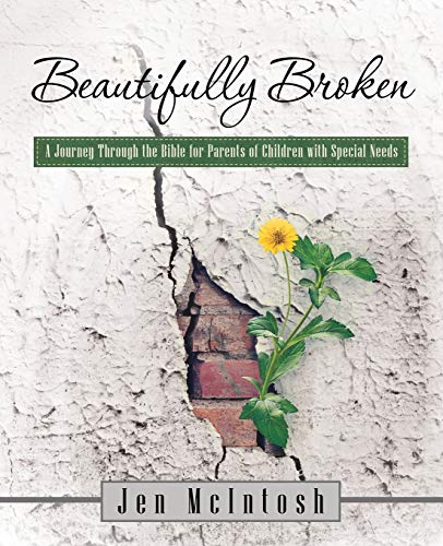 Beautifully Broken A Journey Through The Bible For Parents With Special Needs K [Paperback]