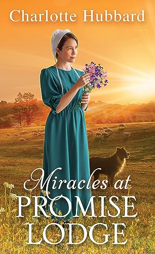 Miracles at Promise Lodge [Paperback]