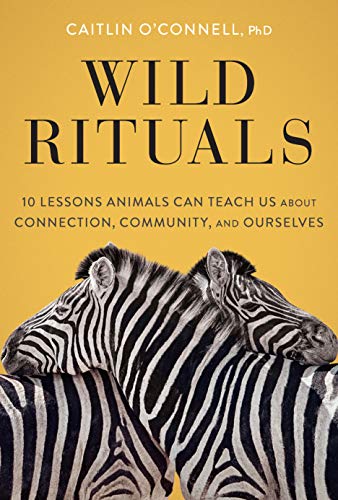 Wild Rituals: 10 Lessons Animals Can Teach Us About Connection, Community, and O [Hardcover]