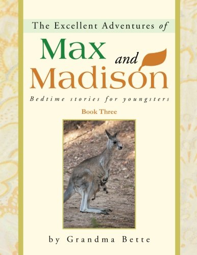 Excellent Adventures of Max and Madison  Bedtime Stories for Youngsters [Paperback]