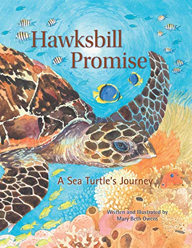 Hawksbill Promise: The Journey of an Endanger