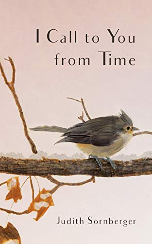 I Call to You from Time [Paperback]